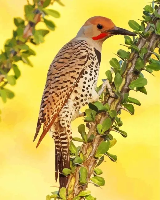 Gilded flicker Diamond Paints Gilded Flicker Diamond Painting