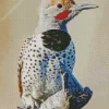 Gilded Flicker Bird Diamond Painting