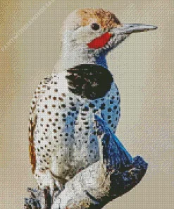 Gilded Flicker Bird Diamond Painting