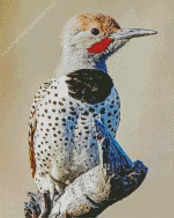 Gilded flicker bird Diamond Dotz Gilded Flicker Bird Diamond Painting