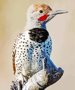 Gilded Flicker Bird Diamond Painting