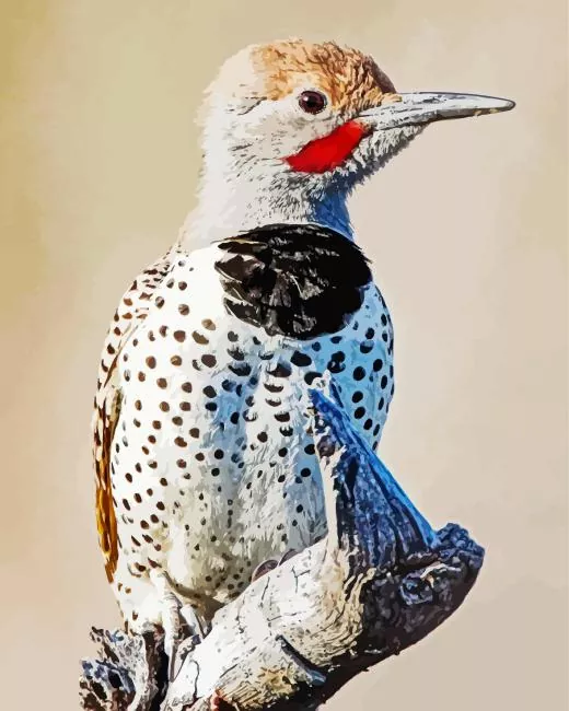 Gilded flicker bird Diamond With Numbers Gilded Flicker Bird Diamond Painting