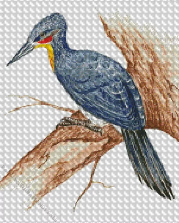 Great slaty woodpecker Diamond By Numbers Great Slaty Woodpecker Diamond Painting