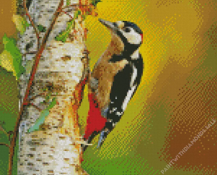 Great spotted woodpecker Diamond By Numbers Great Spotted Woodpecker Diamond Painting