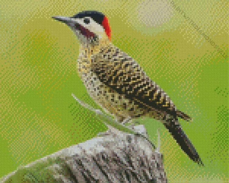 Green barred woodpecker Diamond Dotz Green Barred Woodpecker Diamond Painting