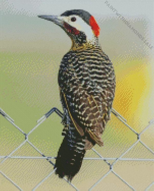 Green barred woodpecker bird Diamond Dotz Green Barred Woodpecker Bird Diamond Painting