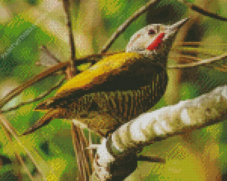 Grey crowned woodpecker Diamond Dotz Grey Crowned Woodpecker Diamond Painting