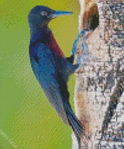 Guadeloupe Woodpecker Diamond Painting