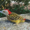 Hispaniolan Woodpecker Diamond Painting