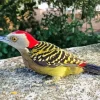 Hispaniolan Woodpecker Diamond Painting