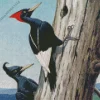 Imperial Woodpecker Diamond Painting