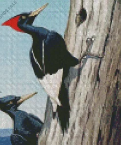 Imperial Woodpecker Diamond Painting
