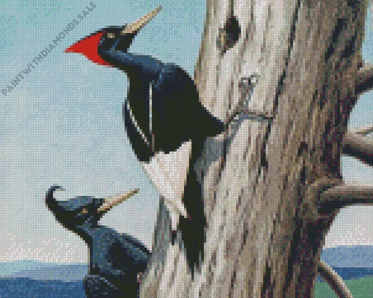 Imperial woodpecker Diamond By Numbers Imperial Woodpecker Diamond Painting
