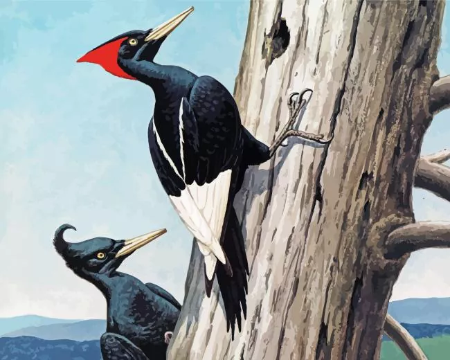 Imperial woodpecker Diamond Paints Imperial Woodpecker Diamond Painting