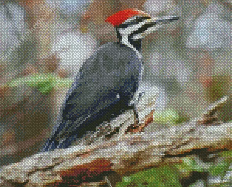 Ivory billed woodpecker Diamond By Numbers Ivory Billed Woodpecker Diamond Painting