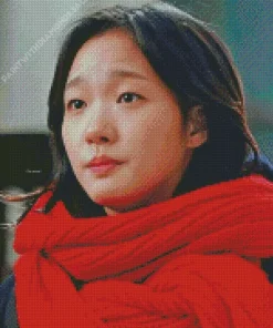 Ji Eun Tak Diamond Painting