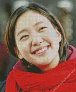 Ji Eun Tak Smiling Diamond Painting
