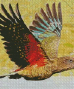 Kea Bird Art Diamond Painting