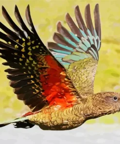 Kea Bird Art Diamond Painting