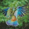Kea Bird Back Art Diamond Painting