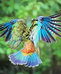 Kea Bird Back Art Diamond Painting