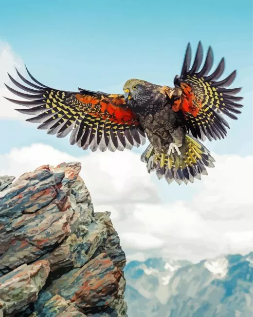 Kea Bird flapping wings Diamond With Numbers Kea Bird Flapping Wings Diamond Painting