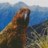 Kea Bird Head Diamond Painting