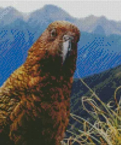 Kea Bird Head Diamond Painting