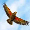 Kea Bird In A Flight Diamond Painting