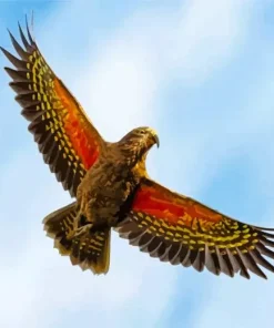 Kea Bird In A Flight Diamond Painting