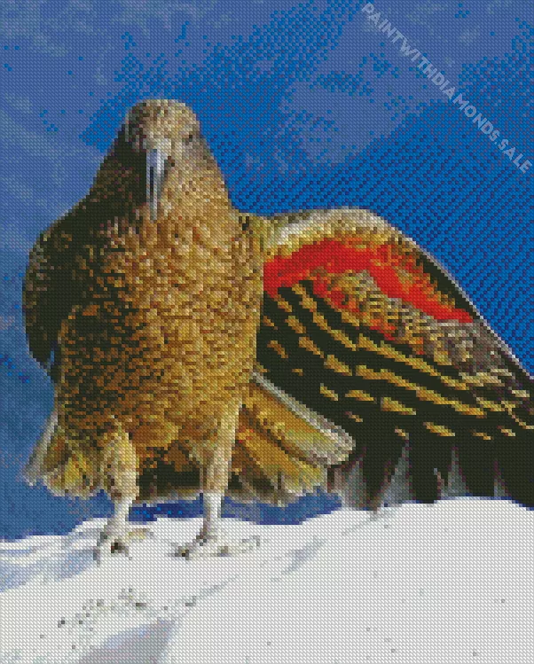Kea Bird in snow Diamond Dotz Kea Bird In Snow Art Diamond Painting