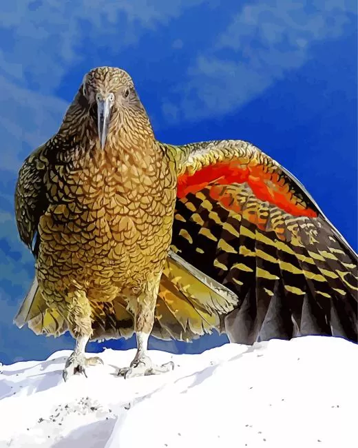 Kea Bird in snow Diamond With Numbers Kea Bird In Snow Art Diamond Painting
