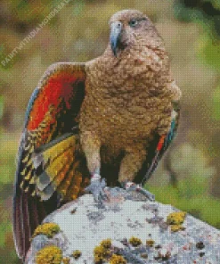 Kea Bird On A Stone Diamond Painting