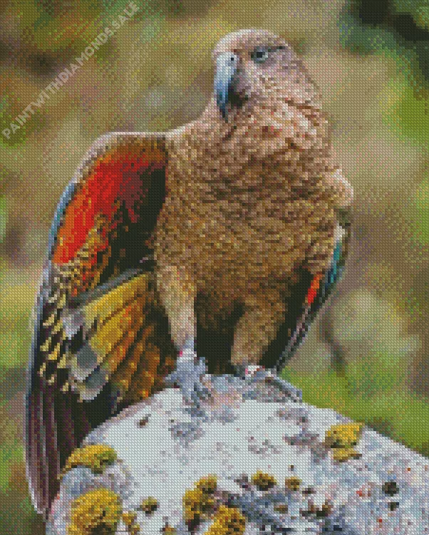 Kea Bird on a stone Diamond Dotz Kea Bird On A Stone Diamond Painting