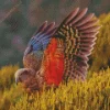 Kea Bird Spreading Wings Diamond Painting