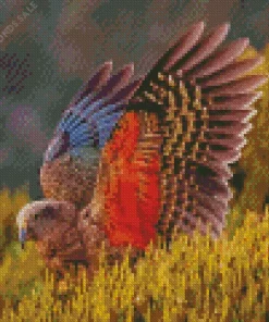 Kea Bird Spreading Wings Diamond Painting