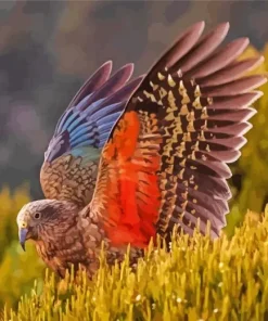 Kea Bird Spreading Wings Diamond Painting