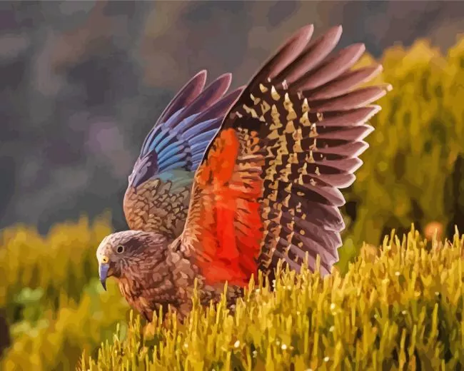 Kea Bird spreading wings Diamond With Numbers Kea Bird Spreading Wings Diamond Painting