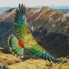 Kea Bird With Big Wings Diamond Painting