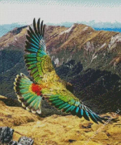 Kea Bird With Big Wings Diamond Painting