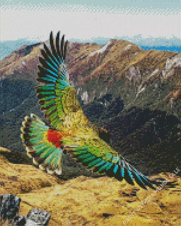 Kea Bird with big wings Diamond Dotz Kea Bird With Big Wings Diamond Painting