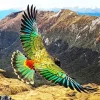 Kea Bird With Big Wings Diamond Painting