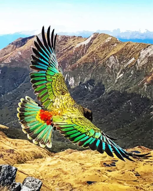 Kea Bird with big wings Diamond With Numbers Kea Bird With Big Wings Diamond Painting