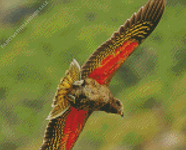 Kea Bird with red wings Diamond Dotz Kea Bird With Red Wings Diamond Painting