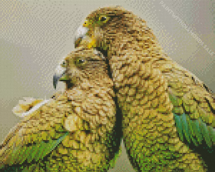 Kea Birds Diamond Dotz Kea Birds Diamond Painting