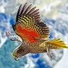 Kea In Flight With Wings Spread Diamond Painting