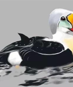King Eider Bird Art Diamond Painting