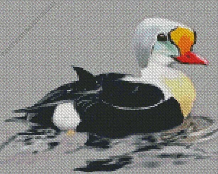 King Eider Bird art Diamond Dotz King Eider Bird Art Diamond Painting