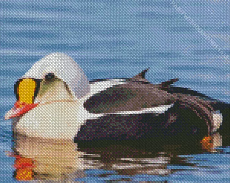King Eider Bird close up Diamond Dotz King Eider Bird Close Up Diamond Painting