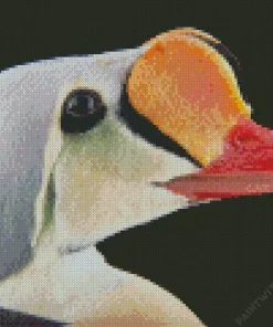 King Eider Bird Head Diamond Painting